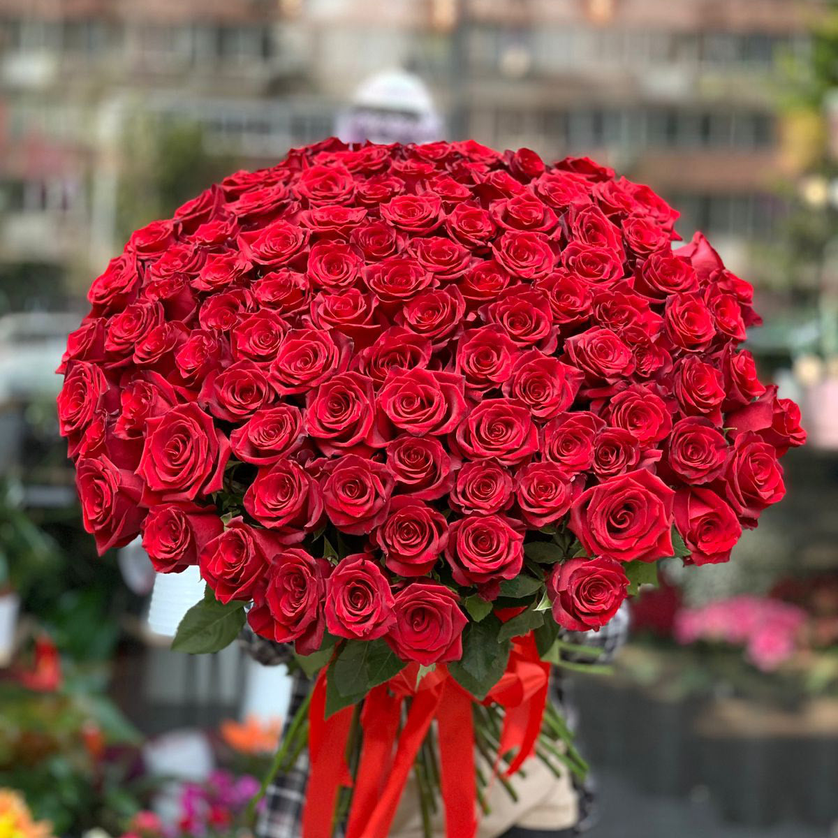 101 Rote Rosen – Romantischer Strauß mit Lieferung in Bukarest – The Bloom Room