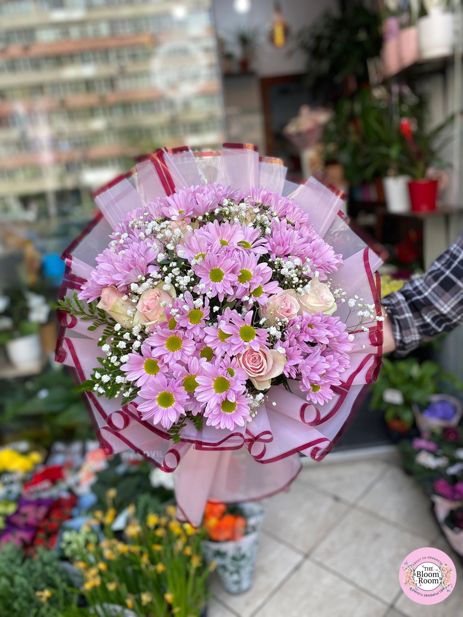 Buchet de Margarete roz, 7 Trandafiri Roz,  Gypsophila