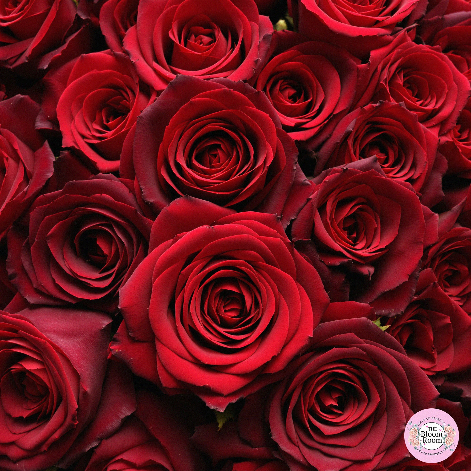 The Bloom Room este cea mai bună florărie pentru 101 trandafiri în București