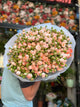 Ramo de 55 rosas spray rosas