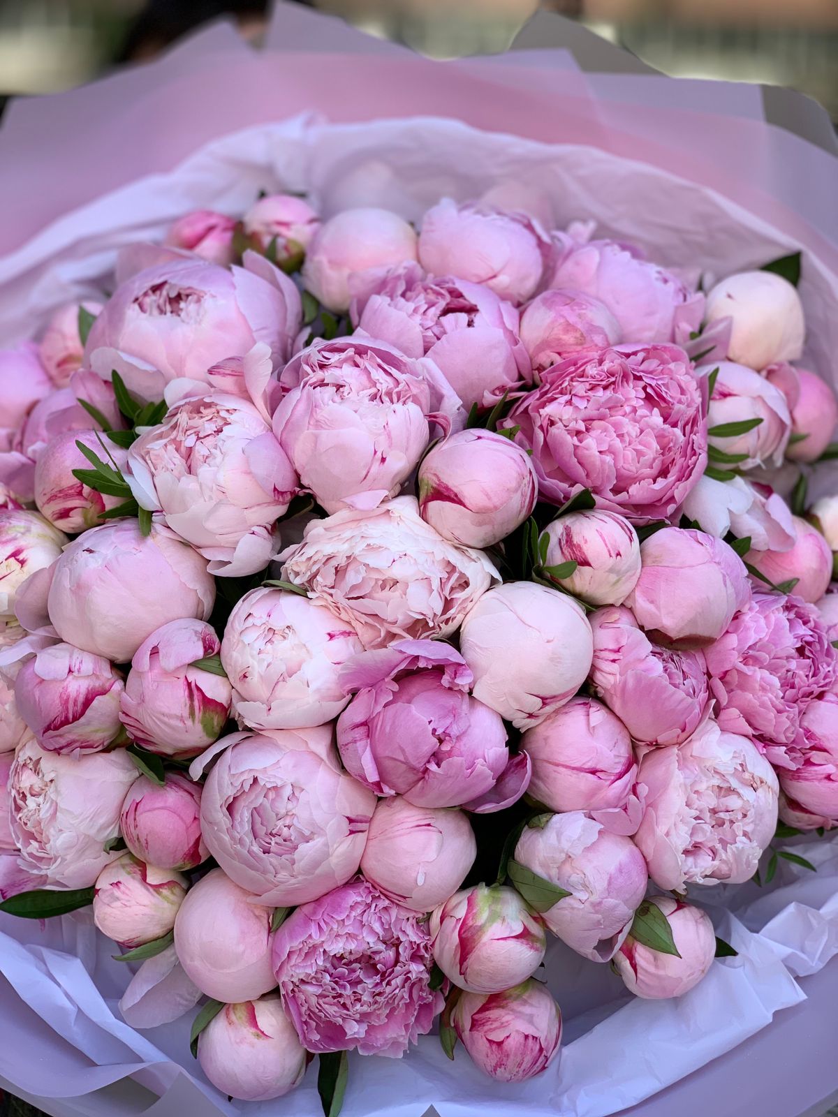 Buchet 55 Bujori Roz